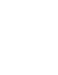 Play Icon